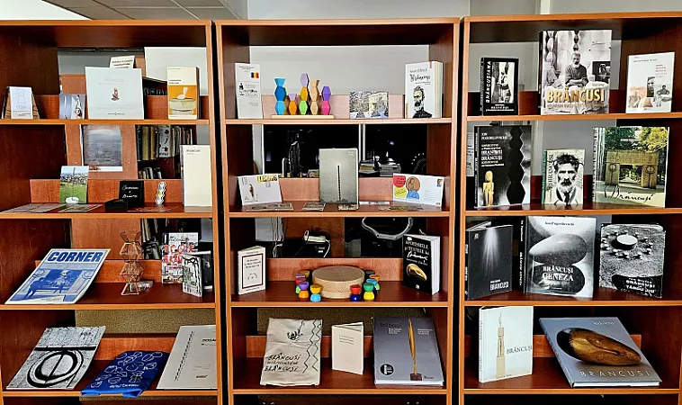 „Insert Brâncuși”